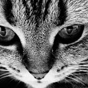 ��������� ������� �� ������� �������