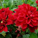  , , 72  -  11  2013     λ