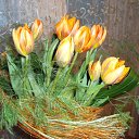  ,  , 58  -  7  2011   ߻