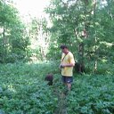 ���� ���, �����-���������, 62 ���� - ��������� 1 ���� 2011 � ������ ���� ����� ߻