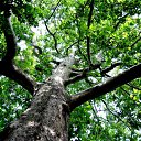 ���� ����, ��������, 28 ��� - ��������� 1 ����� 2010 � ������ �������