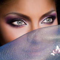 ���� ������, �����-��������, 46 ��� - ��������� 31 ������� 2011