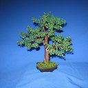 ���� ����, �����������, 63 ���� - ��������� 18 ������ 2010 � ������ ���� ���������