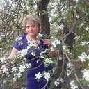 ����� ������ �� ������� ���� ����������