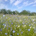 ���� ����, ������, 29 ��� - ��������� 30 ������� 2011 � ������ �������