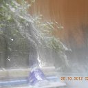 ���� ��������� �� ������� �2012 - 2013�