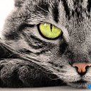 ���� �������, ������, 43 ���� - ��������� 23 ����� 2012 � ������ ���� ����������