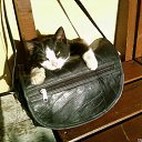 ���� �, �����-���������, 50 ��� - ��������� 9 �������� 2010 � ������ ���������