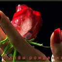 ���� ��, ������� - ��������� 6 ���� 2013 � ������ �)))))))�
