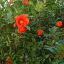 ���� ����, �����, 60 ��� - ��������� 9 ���� 2012 � ������ ��Ψ ����������� � ������ܻ