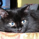 ���� �����, ������, 53 ���� - ��������� 18 ������ 2011 � ������ �������