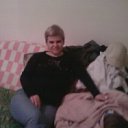 ���� ����, ������, 43 ���� - ��������� 31 ��� 2013