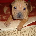 ���� ������, ���������, 41 ��� - ��������� 12 ������ 2012