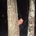 ���� �������, ������, 42 ���� - ��������� 6 ����� 2013