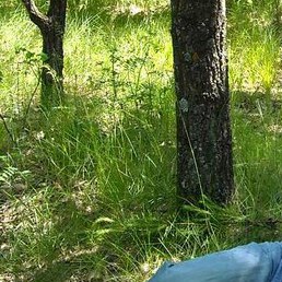 ����� ��������, ������, 42 ����