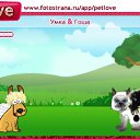 ���� ������, ��������� - ��������� 1 ������� 2010 � ������ �PetLove�