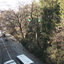  , , 41  -  15  2010   ~  ~