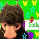 ���� �������, ���� - ��������� 23 ������� 2012 � ������ �������