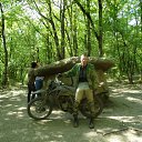 ���� ������, ���������, 44 ���� - ��������� 7 ���� 2012 � ������ ���� ����������