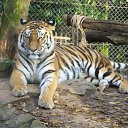   !,  -  27  2009     ...