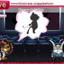 ���� �����, ����� ���, 41 ��� - ��������� 4 ������� 2010 � ������ �PetLove�