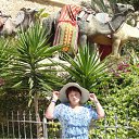  ,   ,    .   !     !