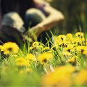 ���� ����, ����������, 34 ���� - ��������� 29 ������ 2011