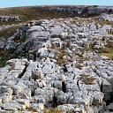 ���� Mark, ������, 50 ��� - ��������� 3 �������� 2010 � ������ ����� ��������� �������