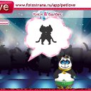 ���� �����, ������-��� - ��������� 12 ������� 2010 � ������ �PetLove�