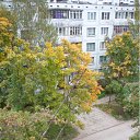 ���� �����, ����� - ��������� 25 ��� 2011 � ������ ����� �� ���� �����