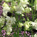 ���� �����, ��������, 45 ��� - ��������� 3 ������� 2010 � ������ ����� �������