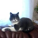 ���� ������, ����������� - ��������� 23 ������ 2013 � ������ ���� ����������