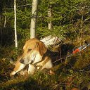 ���� ������, ���������, 65 ��� - ��������� 8 ������ 2012 � ������ ���� ���λ