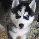 ����� ����� ������ �� � ���� �������� �� ������� �������