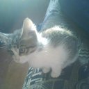 ���� ���������, �����������, 35 ��� - ��������� 16 ������� 2010 � ������ ������