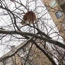 ���� ��������, ������ - ��������� 8 ����� 2011 � ������ �����-���