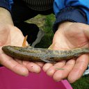 ���� Arturas, �������, 58 ��� - ��������� 10 ������� 2011 � ������ ���� ����������