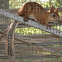  ,  -  18  2011          .