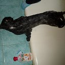 ���� ����� ����� �, �������, 56 ��� - ��������� 10 ������ 2012 � ������ �߻