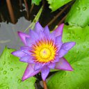 ���� ............., ����, 47 ��� - ��������� 30 ������ 2012