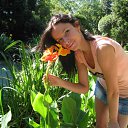 ���� �����, ����������� - ��������� 23 ������� 2012 � ������ ���� ����������