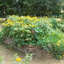 ���� ���������, ���������� - ��������� 14 ������� 2011 � ������ ������_2�