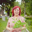 ���� ����, �������, 63 ���� - ��������� 31 ���� 2013 � ������ ����� ���������