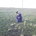 ���� ������, ��������� - ��������� 8 ��� 2013 � ������ ���� ����������