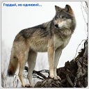 ���� ����, �������, 44 ���� - ��������� 13 ����� 2012