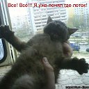 ���� �����, ���������, 39 ��� - ��������� 22 ������� 2010 � ������ ��������