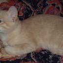 ���� Vladimir, ������������, 46 ��� - ��������� 28 ��� 2011 � ������ �������