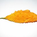 ���� �����, ������, 24 ���� - ��������� 1 ���� 2010 � ������ ���� ����������