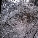 ���� ������, ����������� - ��������� 23 ������ 2013 � ������ ���� ����������