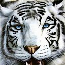 ���� �������, ������� - ��������� 9 �������� 2011 � ������ �������